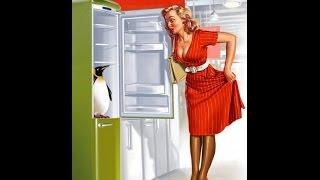 Как выбрать холодильник правильно?!Совет от мастера по ремонту холодильников